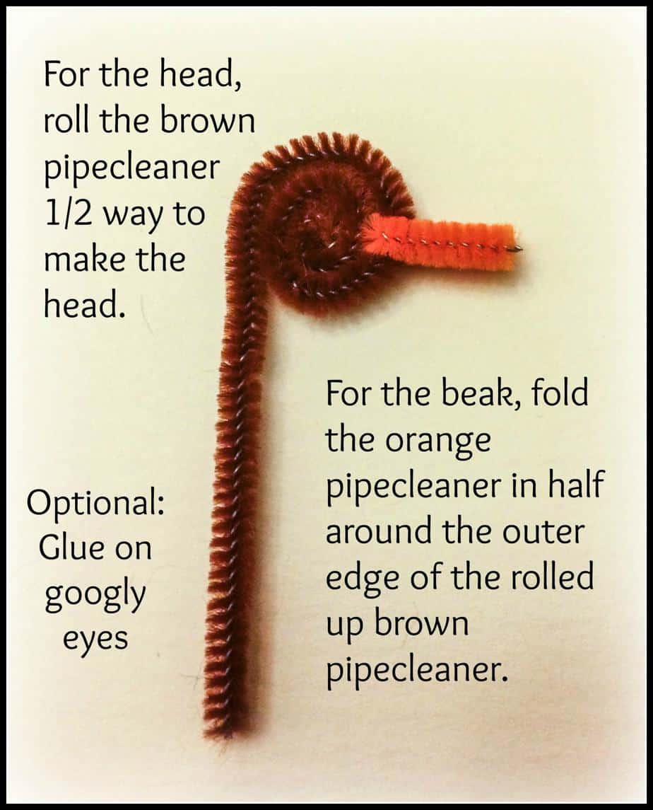 Pipe cleaner head with beak says"For the head, roll the brown pipe cleaner 1/2 way to make the head. For the beak, fold the orange pipecleaner in half around the outer edge of the rolled up brown. Optional: Glue on googly eye.